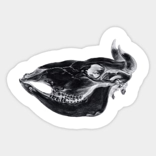 Skull of a cow inversion Sticker